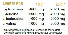 MEGAPLUS BCAA'S + GLUTAMINA CONCEPT